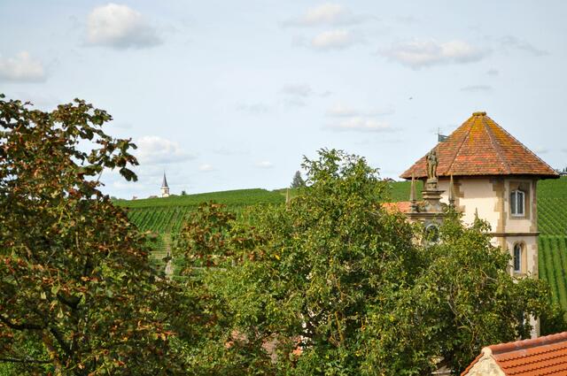 Ausblick von der Treppe des Burgfrieds. | Foto: Daniela Somers