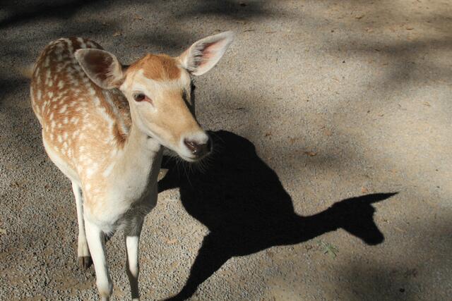 Hello | Foto: Ralf Röser