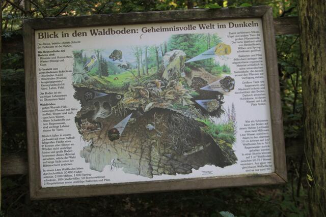 Info | Foto: Ralf Röser