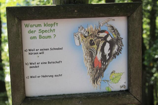 Info, klopf klopf | Foto: Ralf Röser