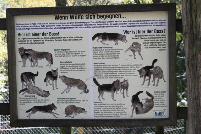 Info | Foto: Ralf Röser