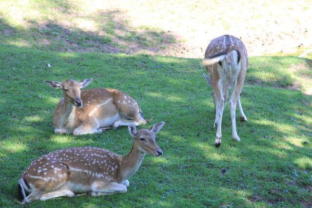 einfach schön😍🌞 | Foto: Ralf Röser
