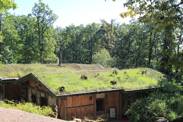 tolle Dächer | Foto: Ralf Röser