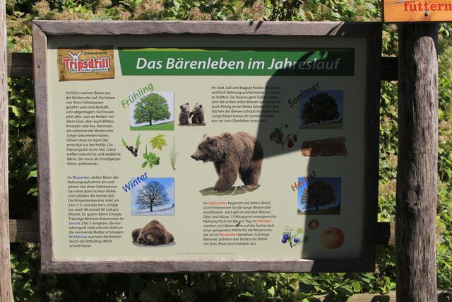 Info | Foto: Ralf Röser