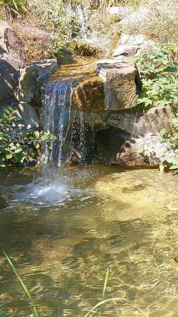 schee | Foto: Ralf Röser