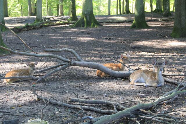 Abstand halten | Foto: Ralf Röser