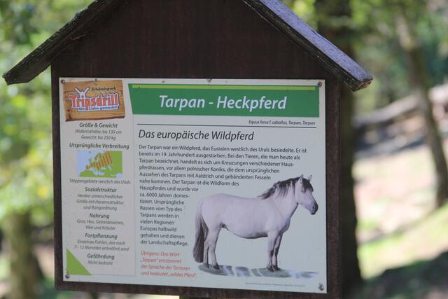 Info | Foto: Ralf Röser