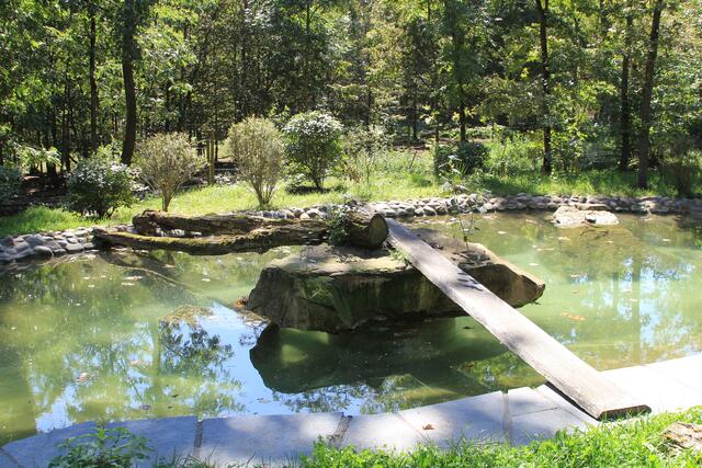 🌞🌳😍🌞 | Foto: Ralf Röser