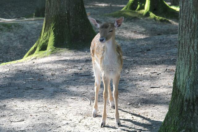 Augen zu  | Foto: Ralf Röser
