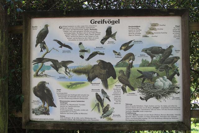 Info | Foto: Ralf Röser