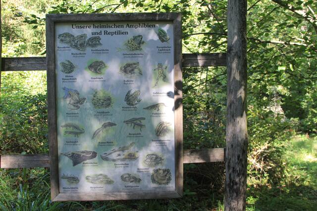 Info | Foto: Ralf Röser