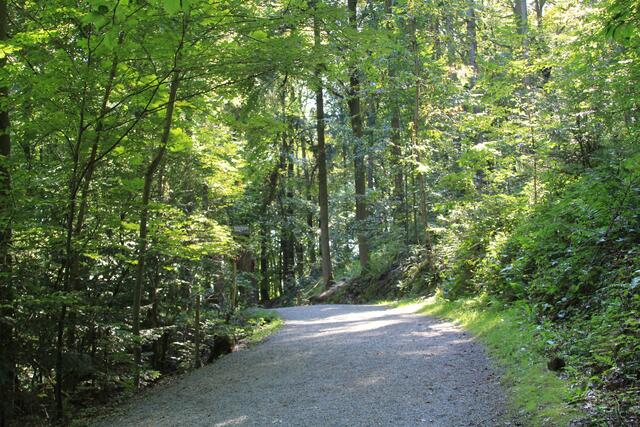 da lang | Foto: Ralf Röser