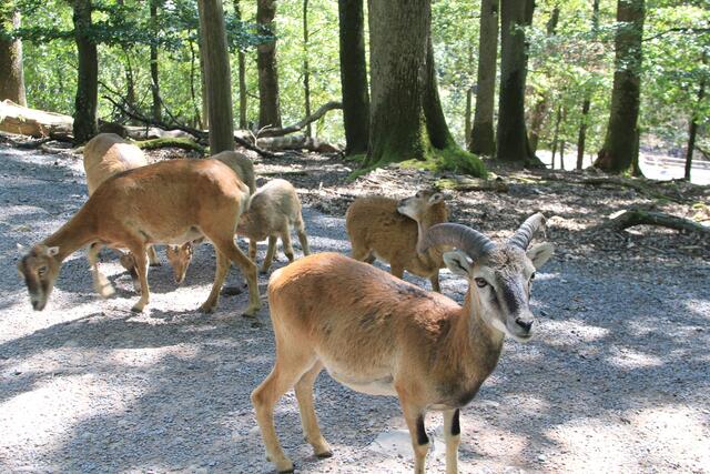 ganz schön was los | Foto: Ralf Röser