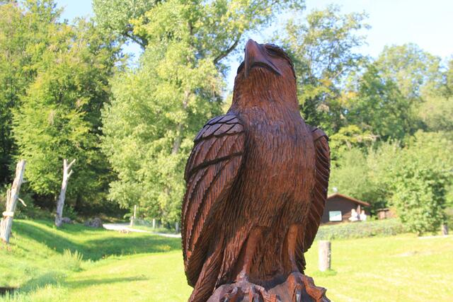 Vogelbereich | Foto: Ralf Röser