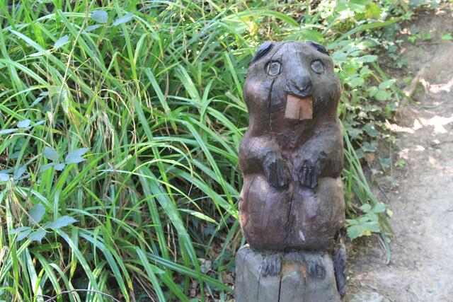 so cool | Foto: Ralf Röser