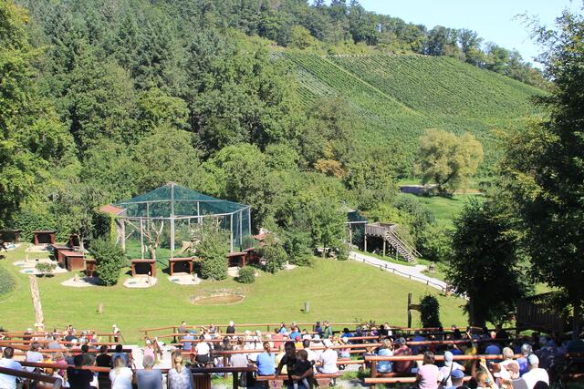 Flugvorführung | Foto: Ralf Röser