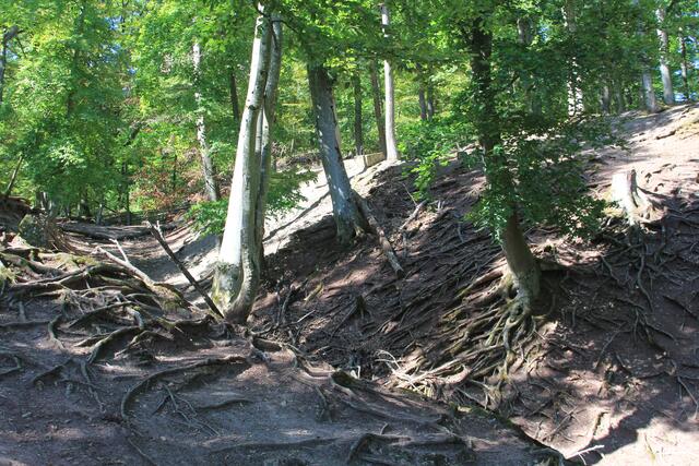 cool | Foto: Ralf Röser