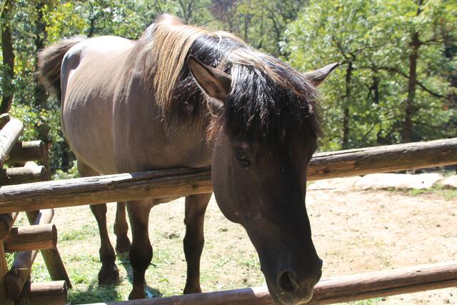 Hello | Foto: Ralf Röser