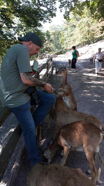 die haben Hunger😄 | Foto: Ralf Röser