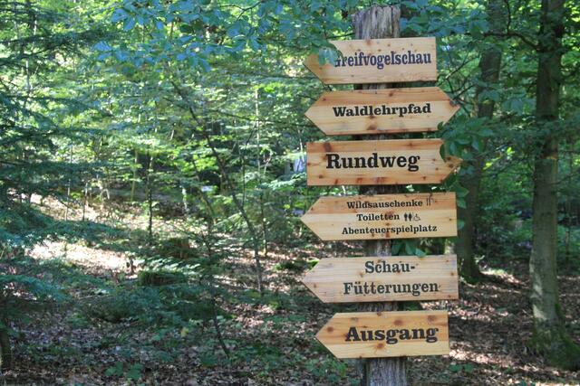 wo lang | Foto: Ralf Röser