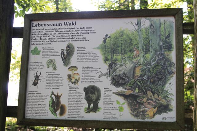 Info | Foto: Ralf Röser