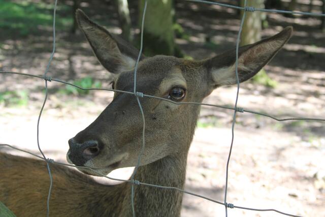 Hello | Foto: Ralf Röser