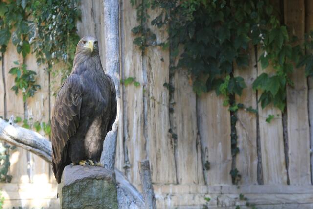 so schön 🌞🌳😍🌞 | Foto: Ralf Röser