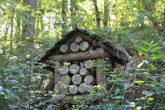 toll | Foto: Ralf Röser