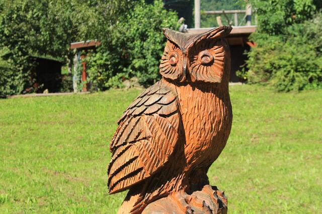 Huhu | Foto: Ralf Röser