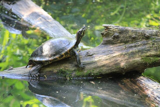 Kopf hoch | Foto: Ralf Röser