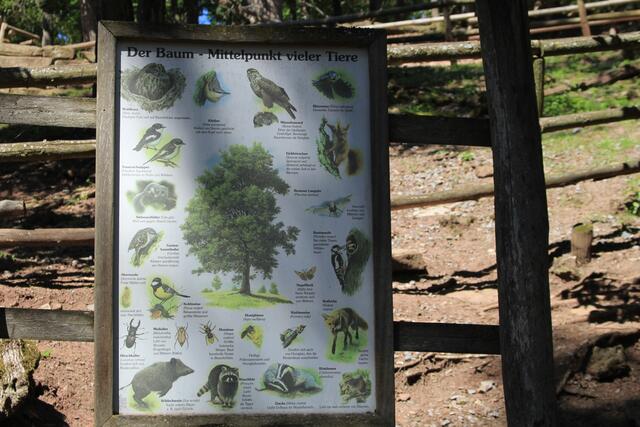 Info | Foto: Ralf Röser