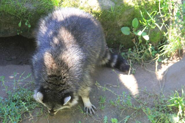 ich riech was | Foto: Ralf Röser