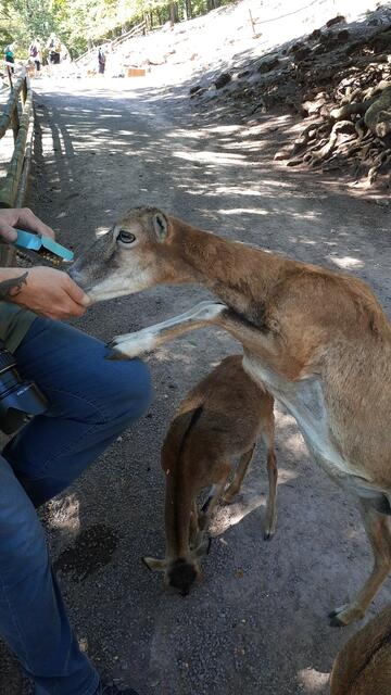 an Guade | Foto: Ralf Röser
