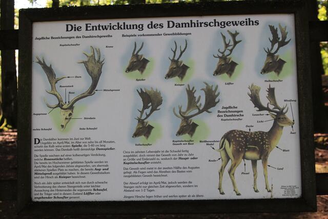 Info | Foto: Ralf Röser