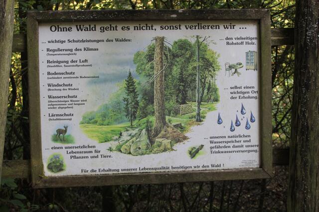 Info 🌞🌳😍🌞 | Foto: Ralf Röser