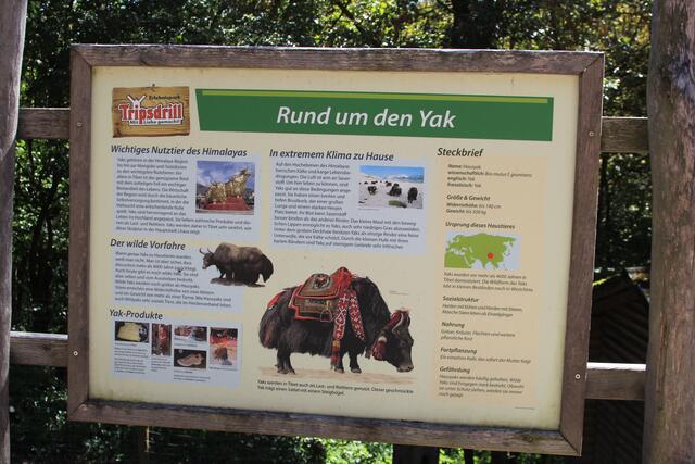 Info | Foto: Ralf Röser