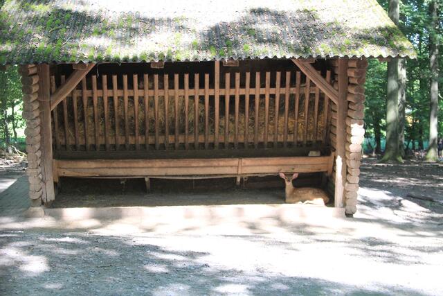 siehe rechts unten 🌞🌳😍🌞 | Foto: Ralf Röser
