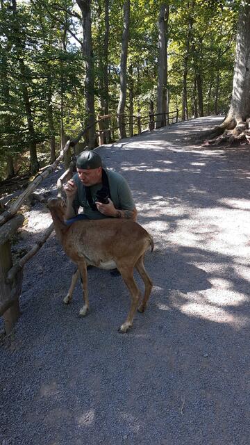 so tolle Tiere | Foto: Ralf Röser