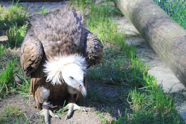 🌞🌳😍🌞 | Foto: Ralf Röser