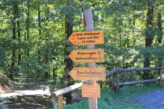 wo lang | Foto: Ralf Röser