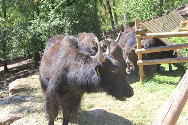 Futter | Foto: Ralf Röser