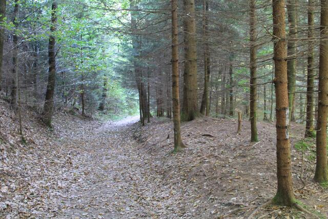 und weiter | Foto: Ralf Röser