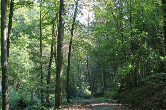 und weiter | Foto: Ralf Röser