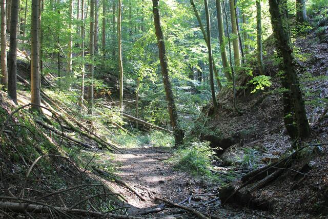 da lang | Foto: Ralf Röser