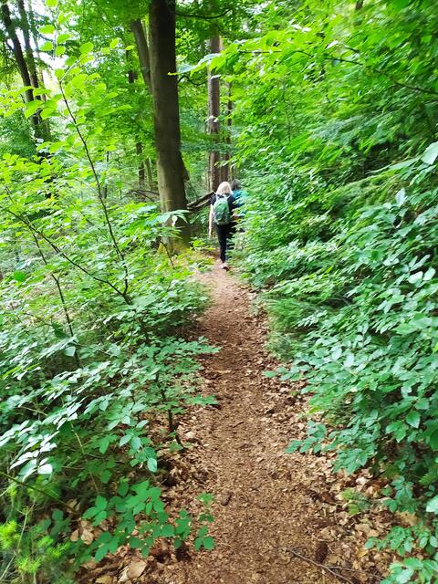 Weiter geht's auf schönen Pfaden durch den Wald | Foto: Sigrid Schlottke