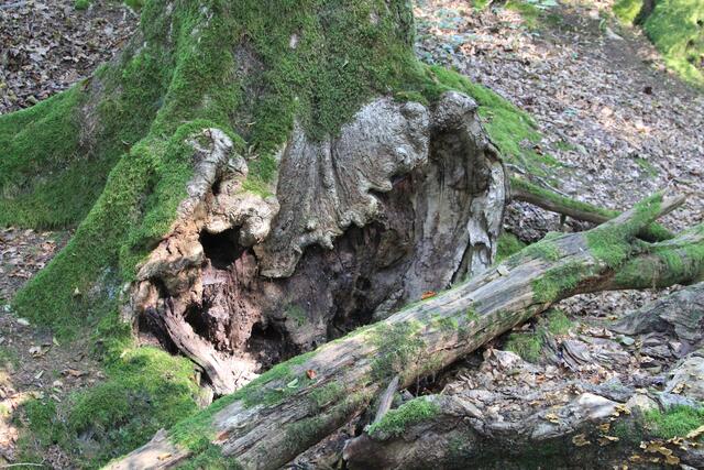 cool | Foto: Ralf Röser