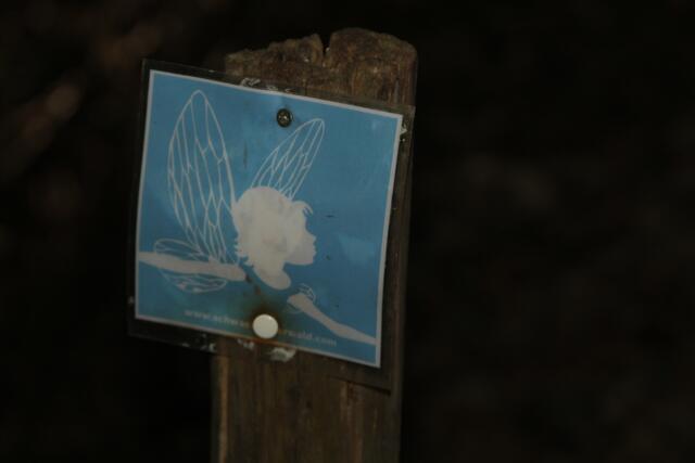 Feen Weg | Foto: Ralf Röser