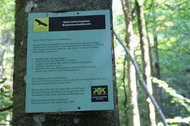 👍👍👍 | Foto: Ralf Röser