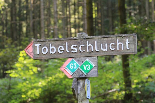 und weiter | Foto: Ralf Röser