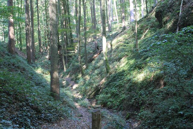 da lang | Foto: Ralf Röser